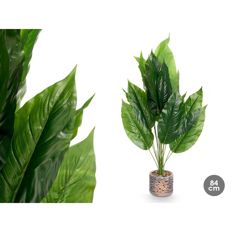 VASO ROTONDO PIANTA FOGLIA PUNTA GR
