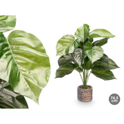 VASO REDONDO PLANTA FOLHA REDONDA GRD