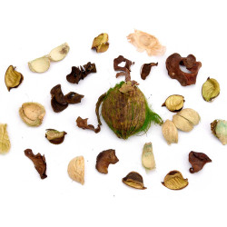 POPURRI 200GR JASMIN