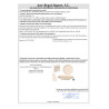 PIATTO DOLCE 20,5CM INCISO BEIGE 