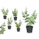 VASO C PLANTA ARTIF REDOND MATE BRILHO SORT 4 COR