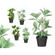 MATTE GLOSS POT POINTED LEAF PLANT ASSORTED 4 COL