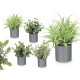 POT CYLINDRE FEUILLES VERTES ASSORT 4