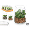 TARRO CRISTAL PLANTA SURT 2 MOD
