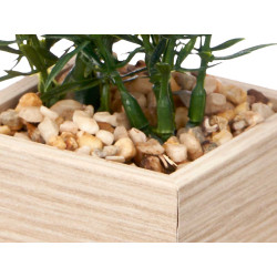 PORTAFOTO 10X15CM CON PLANTA