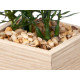 PHOTO HOLDER 10X15CM WITH PLANT
