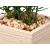 MOLDURA 10X15CM COM PLANTA