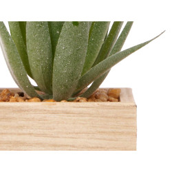 PHOTO HOLDER 10X10CM WITH PLANT