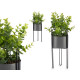 PLANTA HOJA EUCALIPTO BASE METAL GRIS