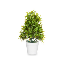 LARGE GREEN PLANT WITH FINE LEAVES WHITE POT