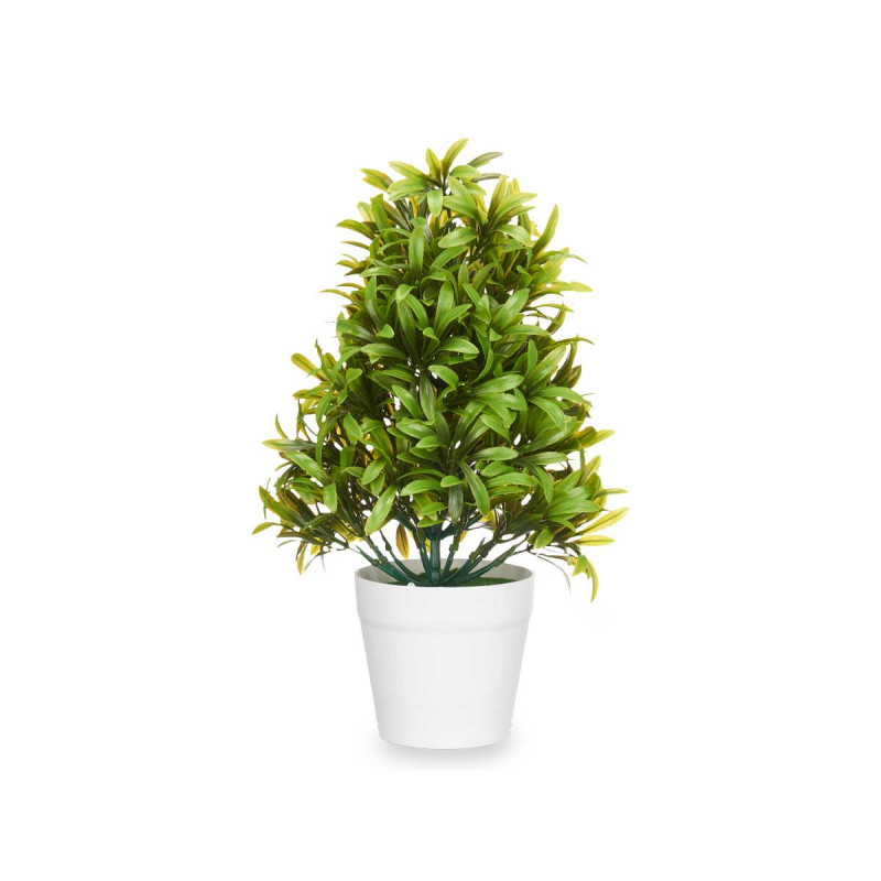 GRANDE PLANTE VERTE  FEUILLES FINES POT BLANC