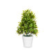PLANTA GRANDE VERDE HOJAS FINAS MACETA BLANCA