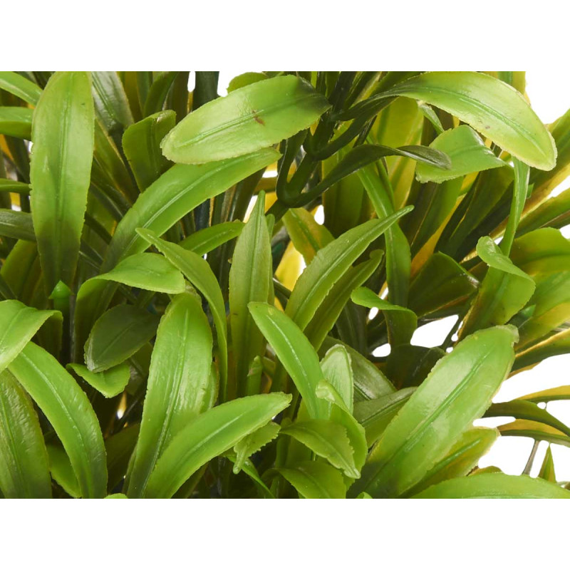 GRANDE PLANTE VERTE  FEUILLES FINES POT BLANC