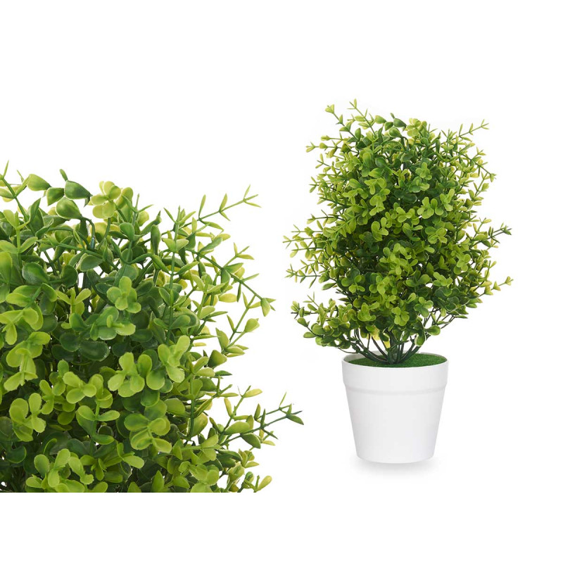 GRANDE PLANTE VERTE FEUILLES PETITES POT BLANC