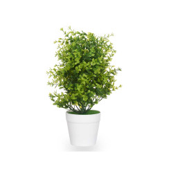 LARGE GREEN PLANT WITH SMALL LEAVES WHITE POT