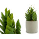 CACTUS PLASTICO ECHEVERIA 25CM