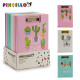 CARPETA CON PINZA Y GOMA A4 CACTUS SURT4