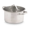 CASSEROLE INDUCTION COUVERCLE VERRE 20 CM