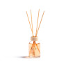 MIKADO 50 ML C/BAGUETTE MANGUE