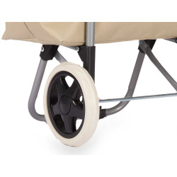 CARRELLO SPESA 2 RUOTE MARKET