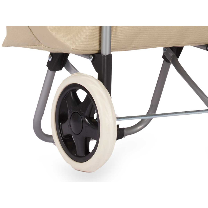 CARRELLO SPESA 2 RUOTE MARKET