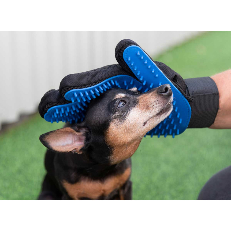 SET CUIDADO PARA MASCOTAS 6PCS