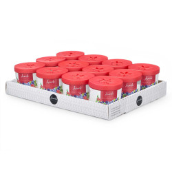 GEL DÉSODORISANT 190GR FRUITS ROUGES 
