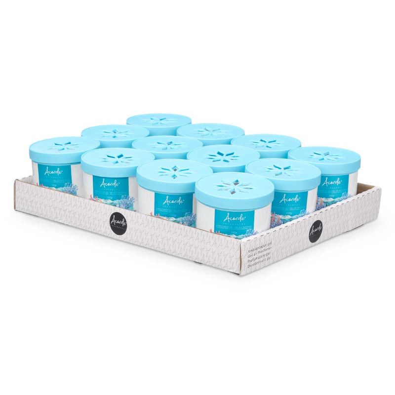GEL DÉSODORISANT 190GR OCÉAN