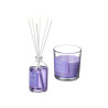 SET MIKADO 100ML BOUGIE 30H LAVANDE