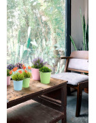 IBERGARDEN