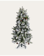 ALBERI
