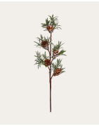 BOUQUET DI NATALE