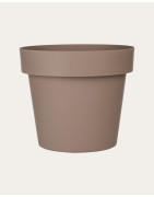 PLASTICO